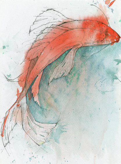 Koi Fish 1B - Art Print