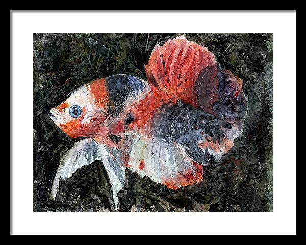 Koi Fish 2.0 - Framed Print